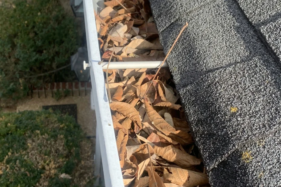 Gutter Cleaning Punta Gorda FL