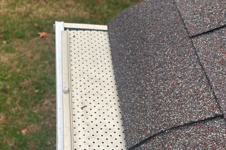 Gutter Cleaning Punta Gorda FL