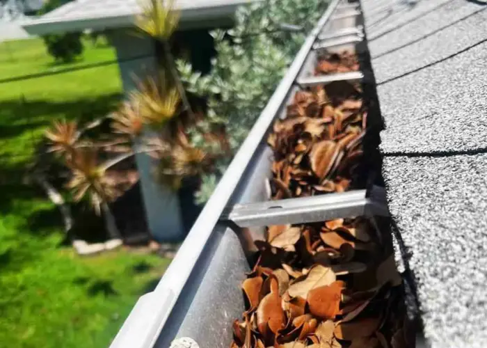 Gutter Cleaning Punta Gorda FL home page